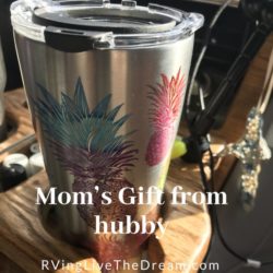 Tervis Watercolor Pineapple Stainless Steel Tumbler 20oz